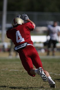 ac米兰官方网站-五大联赛最具统治力的球队如何打造，五大联赛良心球队