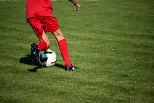 米兰全站app登录app-内线球员在快节奏体系下的功能性演变，内线球员的主要作用